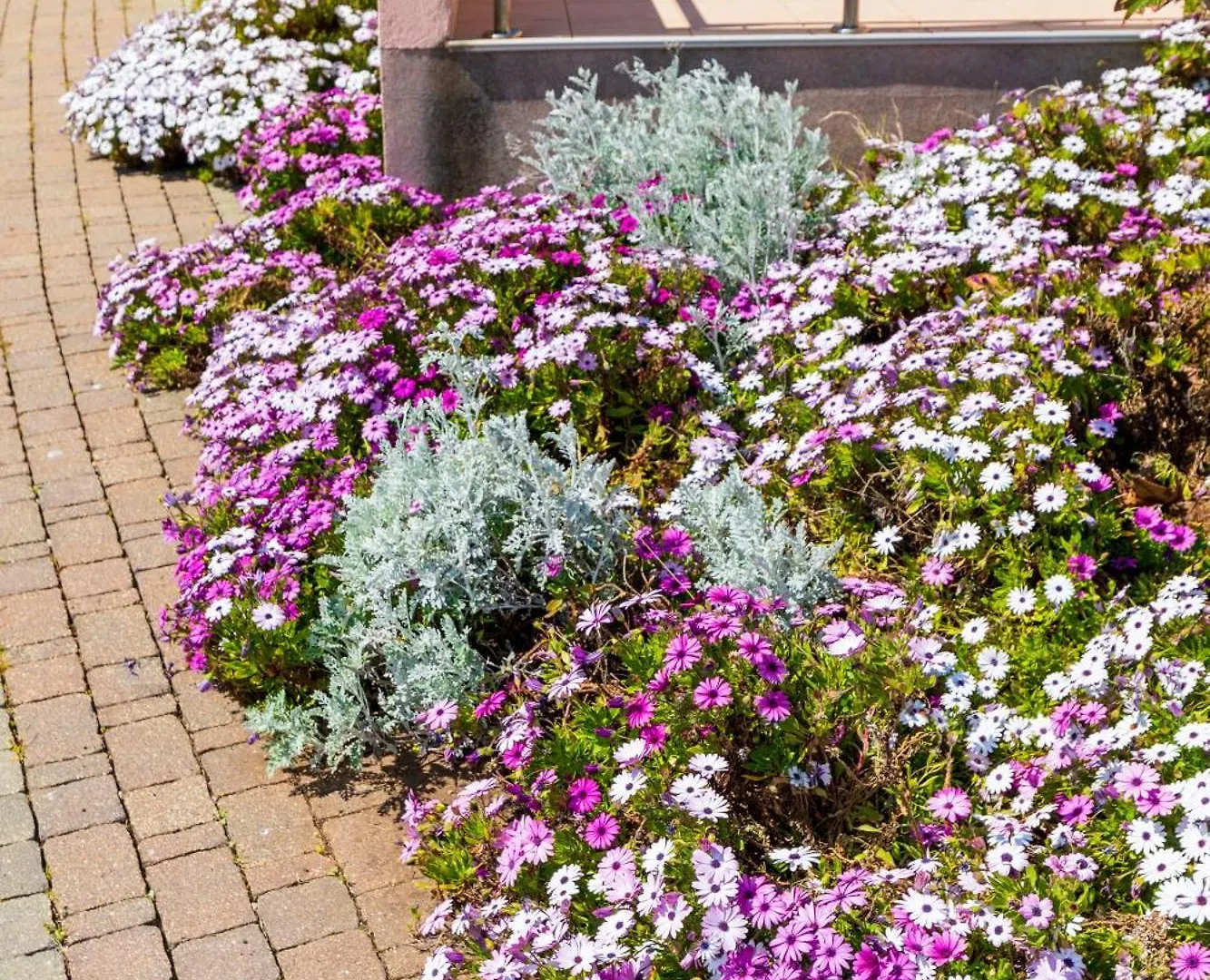 Studio Daisy With A Garden Baska  Apartment Baska (Krk)